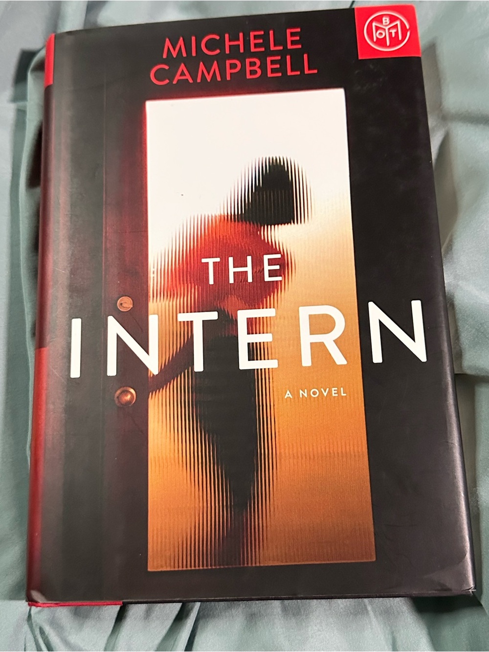 📚3 for $20 📚 The Intern